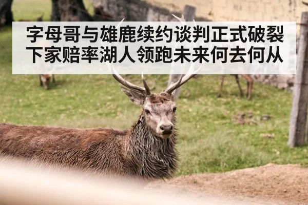 字母哥与雄鹿续约谈判正式破裂下家赔率湖人领跑未来何去何从