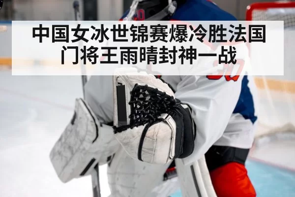 ice hockey goalie save
