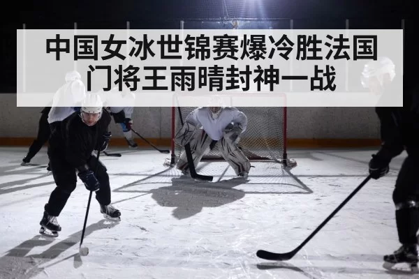 ice hockey game action